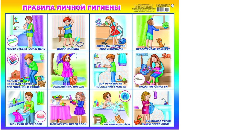 5 правил личной гигиены 5 правил личной гигиены.